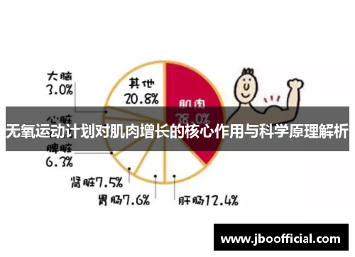 无氧运动计划对肌肉增长的核心作用与科学原理解析